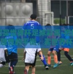 如何买世界杯足球彩票-把握激情与理性的平衡，买世界杯足球彩票前的深思熟虑