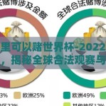 在哪里可以赌世界杯-2022年世界杯，揭秘全球合法观赛与娱乐平台
