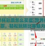 世界杯彩票怎么买卖-世界杯彩票，轻松玩转比赛魅力