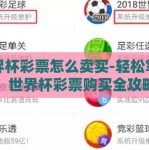 世界杯彩票怎么卖买-轻松掌握，世界杯彩票购买全攻略