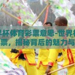 世界杯体育彩票意思-世界杯体育彩票，揭秘背后的魅力与风险