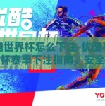 优酷世界杯怎么下注-优酷平台世界杯赛事下注指南，安全观赛与理智投注策略
