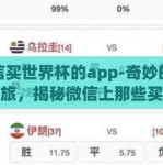 微信买世界杯的app-奇妙的足球之旅，揭秘微信上那些买世界杯的App