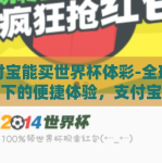 支付宝能买世界杯体彩-全球化视角下的便捷体验，支付宝平台购买世界杯体育彩票的多元考量