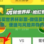 微信买世界杯彩票-微信买世界杯彩票，便捷与风险并存的新兴方式