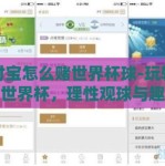 支付宝怎么赌世界杯球-玩转支付宝世界杯，理性观球与趣味预测的新风尚