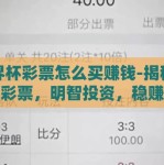 世界杯彩票怎么买赚钱-揭秘世界杯彩票，明智投资，稳赚不赔的秘诀