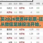 微信买2026世界杯彩票-征服未来，从微信足球投注开始，2026年世界杯梦想之旅