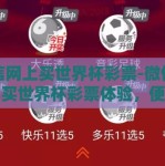 微信网上买世界杯彩票-微信指尖式买世界杯彩票体验，便捷与风险的双重考量