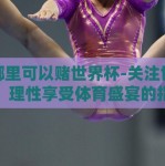 在哪里可以赌世界杯-关注世界杯，理性享受体育盛宴的指南