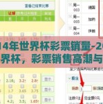 2014年世界杯彩票销量-2014年世界杯，彩票销售高潮与球迷狂热的经济注脚