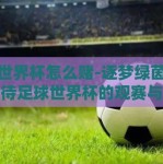 足球世界杯怎么赌-逐梦绿茵，理性看待足球世界杯的观赛与支持