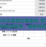 世界杯彩票都在哪里吗-世界杯彩票的购买指南，揭秘购买地点与注意事项