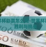 世界杯彩票怎么赔-世界杯彩票，胜利与挑战