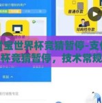 支付宝世界杯竞猜暂停-支付宝世界杯竞猜暂停，技术常规维护与用户体验的平衡点
