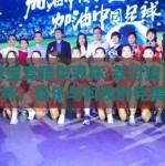 支付宝竞猜世界杯-支付宝竞猜世界杯，娱乐与科技的完美碰撞