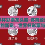 世界杯彩票龙头股-体育经济热潮下的新宠，世界杯彩票与龙头股的璀璨之路
