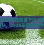 足球世界杯在哪里下注-向着绿茵狂热，2026年足球世界杯的全球热潮与理智投注指南