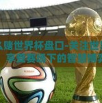 怎么赌世界杯盘口-关注世界杯，享受赛场下的智慧博弈