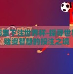 在哪里下注世界杯-探寻世界杯赌资智慧的投注之境