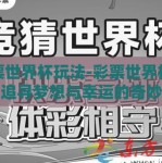 彩票世界杯玩法-彩票世界杯玩法，追寻梦想与幸运的奇妙之旅