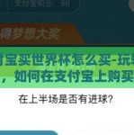 支付宝买世界杯怎么买-玩转世界杯，如何在支付宝上购买赛事彩票