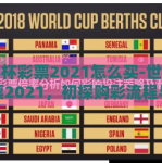 世界杯彩票2021怎么买-世界杯彩票2021，初探购彩流程与策略