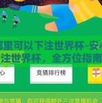 在哪里可以下注世界杯-安心投注世界杯，全方位指南