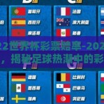 2022世界杯彩票赔率-2022世界杯，揭秘足球热潮中的彩票理财之谜