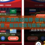 世界杯竞猜网站推荐-世界杯竞猜盛宴，解锁观赏与娱乐并重的新境界