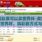 淘宝彩票可以买世界杯-淘宝彩票与世界杯，购彩新方式与激情瞬间