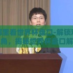 在哪里看世界杯盘口-解锁观赛新视角，揭秘世界杯盘口解读的精彩路径