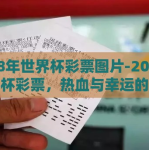 2018年世界杯彩票图片-2018年世界杯彩票，热血与幸运的交织画卷