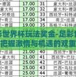 足彩世界杯玩法奖金-足彩世界杯，把握激情与机遇的双重体验