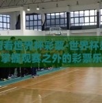 如何看世界杯彩票-世界杯盛宴，掌握观赛之外的彩票乐趣