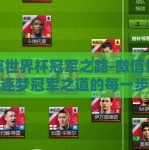 微信世界杯冠军之路-微信世界杯，逐梦冠军之道的每一步坚持