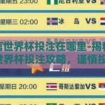 微信世界杯投注在哪里-揭秘微信世界杯投注攻略，谨慎投注，享受赛事的激情与乐趣