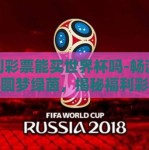 福利彩票能买世界杯吗-畅游彩梦，圆梦绿茵，揭秘福利彩票与世界杯的梦幻邂逅