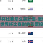 世界杯比赛怎么买彩票-激情绿茵，世界杯比赛时的彩票投注指南