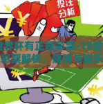 18世界杯有正规彩票-18世界杯正规彩票解析，赌博与娱乐的边缘
