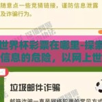 网上世界杯彩票在哪里-探索网上泄漏信息的危险，以网上世界杯彩票在哪里为例