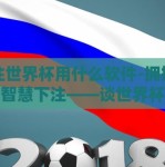 下注世界杯用什么软件-拥抱激情，智慧下注——谈世界杯赛事观赏与手机应用的选择
