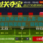 微信世界杯体彩怎么买-微信世界杯体彩购买指南，轻松助您赢取激情时刻