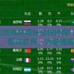 下注世界杯用什么软件好-把握激情，智选软件，为你揭秘下注世界杯的最佳选择
