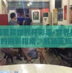 在哪里买世界杯彩票-世界杯热潮中的购彩指南，解锁正规购彩渠道