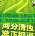 世界杯彩票中奖-世界杯彩票梦想，从梦想到现实的飞跃