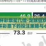 世界杯彩票买几倍-足球狂欢，世界杯彩票下的投注策略与心态