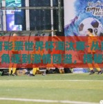 体育彩票世界杯淘汰赛-从数字生活角逐到激情四溢，揭秘体育彩票世界杯淘汰赛的独特魅力