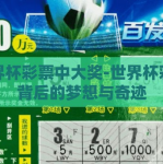 世界杯彩票中大奖-世界杯彩票背后的梦想与奇迹