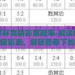 世界杯竞猜彩票赔率-解读世界杯竞猜彩票，解锁赔率下的奇妙之旅